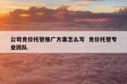 公司竞价托管推广方案怎么写  竞价托管专业团队