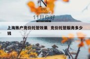 上海账户竞价托管效果  竞价托管服务多少钱