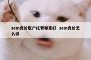 sem竞价账户托管哪家好  sem竞价怎么样