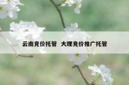云南竞价托管  大理竞价推广托管