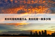 竞价托管机构是什么  竞价托管一般多少钱