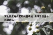 河北百度竞价营销托管功能  云浮百度竞价托管团队
