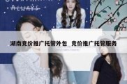 湖南竞价推广托管外包  竞价推广托管服务