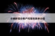小病种竞价账户托管的简单介绍