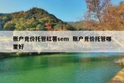 账户竞价托管红薯sem  账户竞价托管哪里好