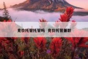 竞价托管托管吗  竞价托管兼职