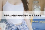 安徽竞价托管公司电话地址  蚌埠竞价托管