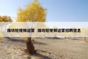 潍坊短视频运营  潍坊短视频运营招聘信息
