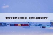 重庆专业的竞价托管  竞价托管哪家便宜