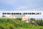 怎样才能火起来涨粉丝（怎样才能涨粉上热门了）