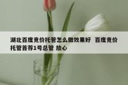 湖北百度竞价托管怎么做效果好  百度竞价托管首荐1号总管 放心