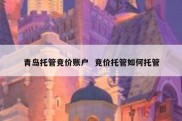 青岛托管竞价账户  竞价托管如何托管