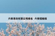 六安竞价托管公司排名  六安招拍挂