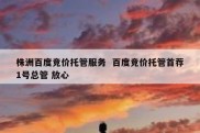 株洲百度竞价托管服务  百度竞价托管首荐1号总管 放心