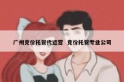 广州竞价托管代运营  竞价托管专业公司