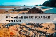 武汉sem竞价托管哪里好  武汉竞价托管一个月多少钱