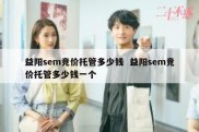 益阳sem竞价托管多少钱  益阳sem竞价托管多少钱一个