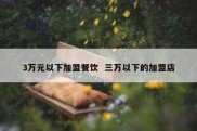 3万元以下加盟餐饮  三万以下的加盟店