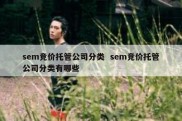 sem竞价托管公司分类  sem竞价托管公司分类有哪些
