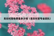 竞价托管收费是多少钱（竞价托管专业团队）