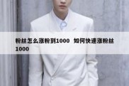 粉丝怎么涨粉到1000  如何快速涨粉丝1000