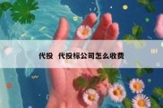 代投  代投标公司怎么收费