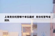 上海竞价托管哪个单位最好  竞价托管专业团队