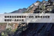郑州竞价托管哪家好一点的  郑州竞价托管哪家好一点的公司