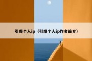 引爆个人ip（引爆个人ip作者简介）