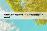 专业的竞价托管公司  专业的竞价托管公司有哪些