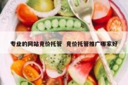 专业的网站竞价托管  竞价托管推广哪家好