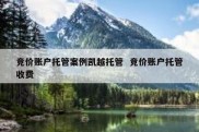 竞价账户托管案例凯越托管  竞价账户托管收费