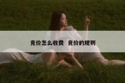 竞价怎么收费  竞价的规则