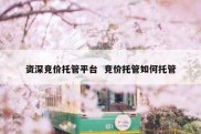 资深竞价托管平台  竞价托管如何托管