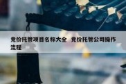 竞价托管项目名称大全  竞价托管公司操作流程