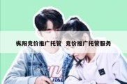 枞阳竞价推广托管  竞价推广托管服务