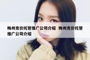 梅州竞价托管推广公司介绍  梅州竞价托管推广公司介绍