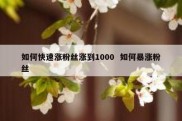 如何快速涨粉丝涨到1000  如何暴涨粉丝
