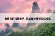 娄底竞价托管团队  娄底竞价托管团队电话