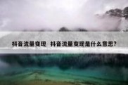 抖音流量变现  抖音流量变现是什么意思?