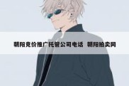 朝阳竞价推广托管公司电话  朝阳拍卖网