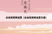 企业短视频运营（企业短视频运营方案）