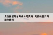 竞价托管外包专业公司费用  竞价托管公司操作流程