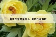 竞价托管的是什么  竞价托管兼职