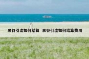 黑谷引流如何结算  黑谷引流如何结算费用