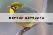 精美广告公司  经典广告公司介绍