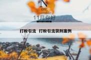 打粉引流  打粉引流获刑案例