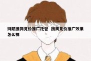 浏阳搜狗竞价推广托管  搜狗竞价推广效果怎么样