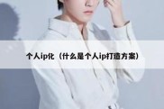 个人ip化（什么是个人ip打造方案）