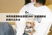 如何快速涨粉丝涨到1000  快速涨粉丝的用什么办法